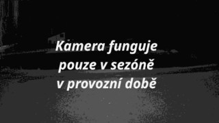 Webkamera